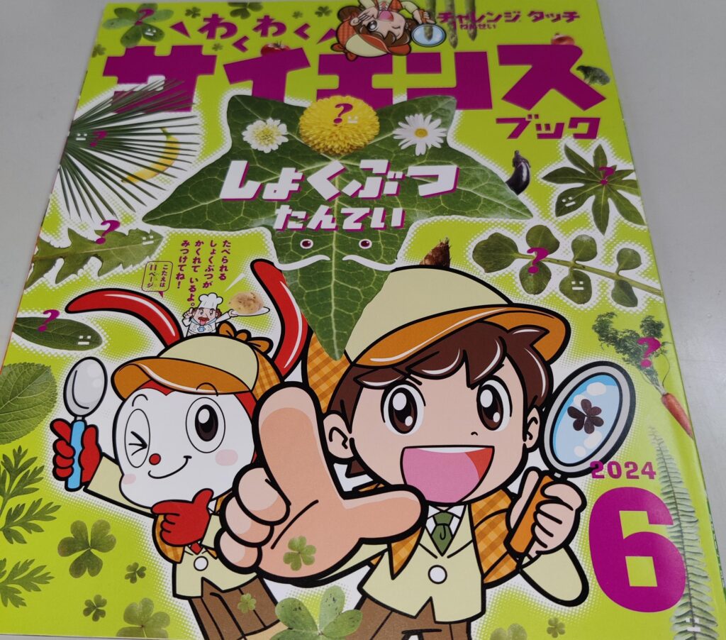 チャレンジタッチ,6月号